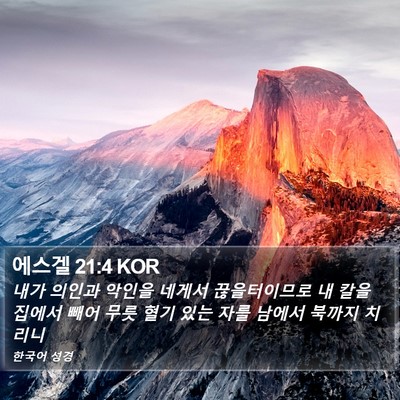 에스겔 21:4 KOR Bible Verse Image