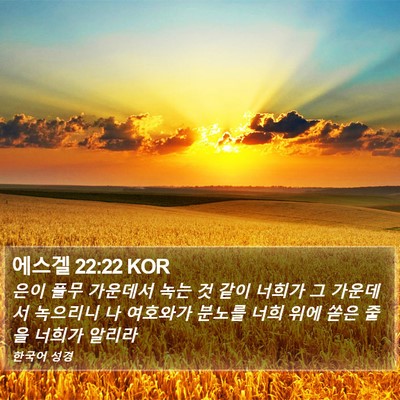 에스겔 22:22 KOR Bible Verse Image