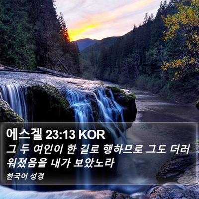 에스겔 23:13 KOR Bible Verse Image