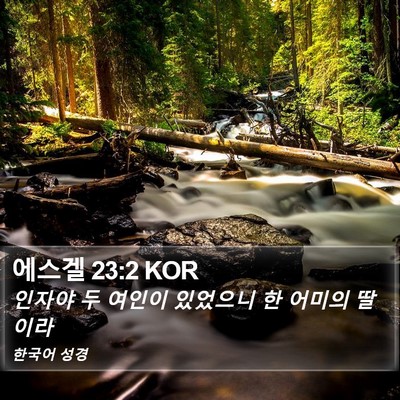 에스겔 23:2 KOR Bible Verse Image