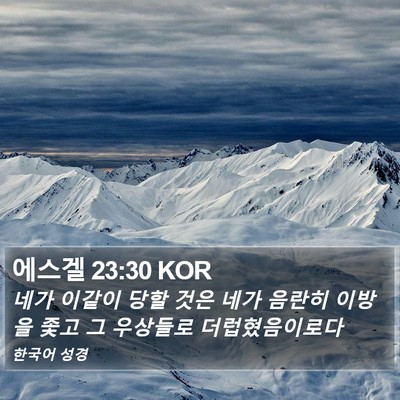 에스겔 23:30 KOR Bible Verse Image