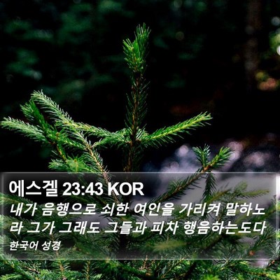 에스겔 23:43 KOR Bible Verse Image