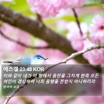 에스겔 23:48 KOR Bible Verse Image