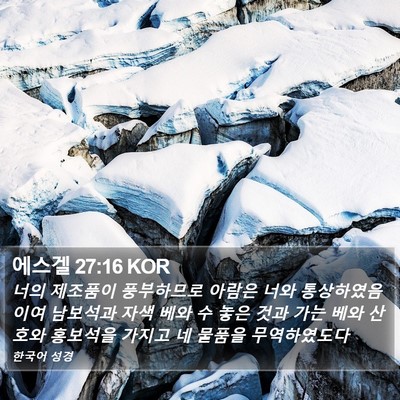 에스겔 27:16 KOR Bible Verse Image