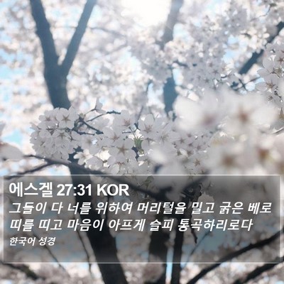 에스겔 27:31 KOR Bible Verse Image