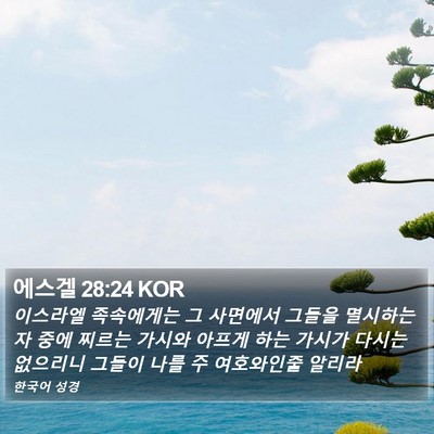 에스겔 28:24 KOR Bible Verse Image