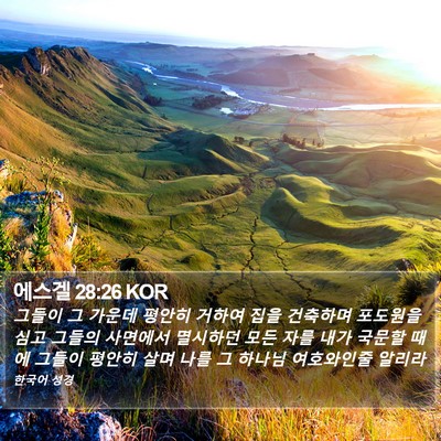 에스겔 28:26 KOR Bible Verse Image