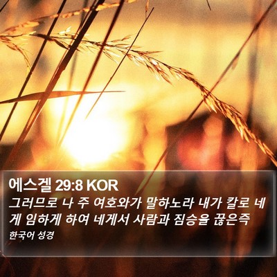 에스겔 29:8 KOR Bible Verse Image