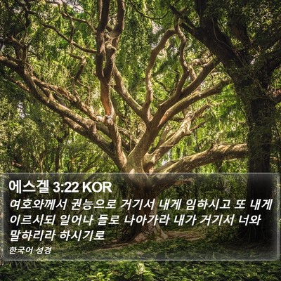 에스겔 3:22 KOR Bible Verse Image