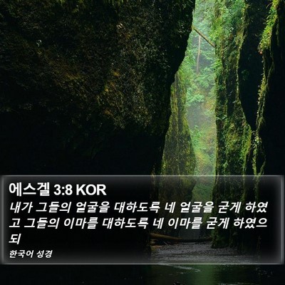 에스겔 3:8 KOR Bible Verse Image