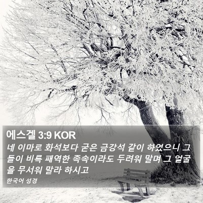 에스겔 3:9 KOR Bible Verse Image