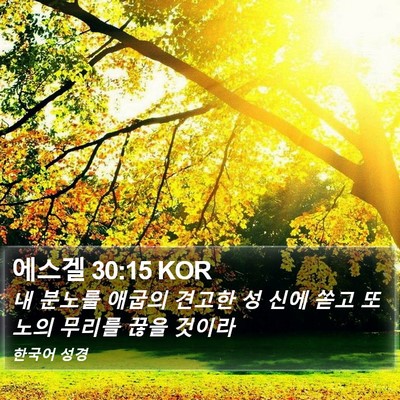 에스겔 30:15 KOR Bible Verse Image
