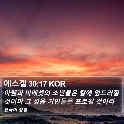 에스겔 30:17 KOR Bible Verse Image