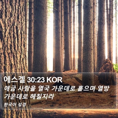 에스겔 30:23 KOR Bible Verse Image