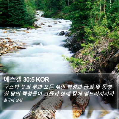 에스겔 30:5 KOR Bible Verse Image