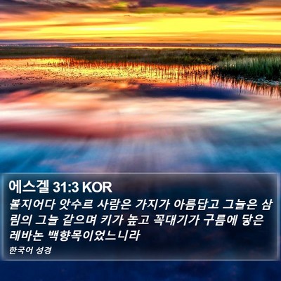 에스겔 31:3 KOR Bible Verse Image