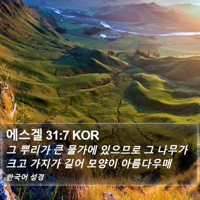 에스겔 31:7 KOR Bible Verse Image
