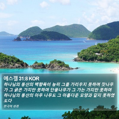 에스겔 31:8 KOR Bible Verse Image