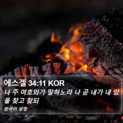 에스겔 34:11 KOR Bible Verse Image
