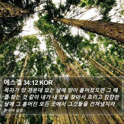 에스겔 34:12 KOR Bible Verse Image