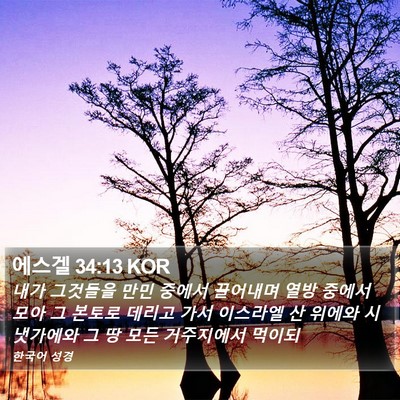 에스겔 34:13 KOR Bible Verse Image