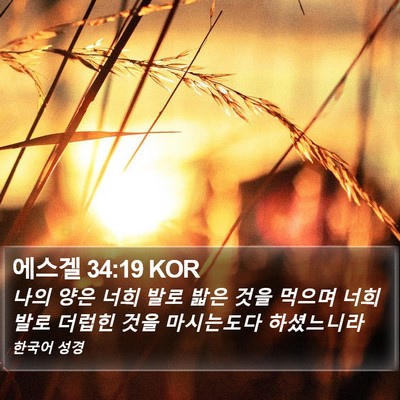 에스겔 34:19 KOR Bible Verse Image