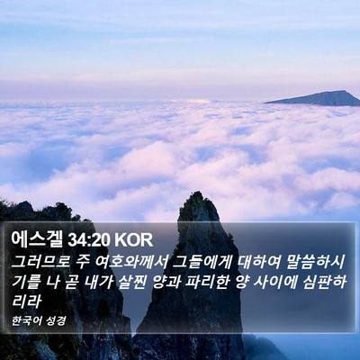 에스겔 34:20 KOR Bible Verse Image