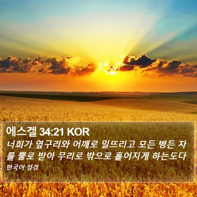 에스겔 34:21 KOR Bible Verse Image