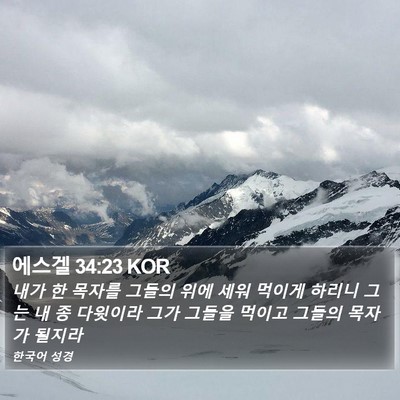 에스겔 34:23 KOR Bible Verse Image