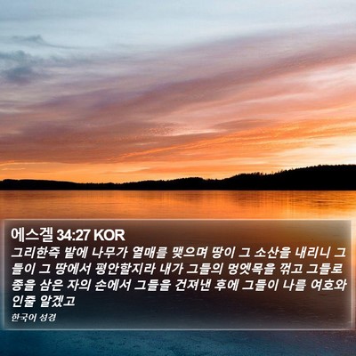 에스겔 34:27 KOR Bible Verse Image