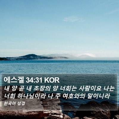 에스겔 34:31 KOR Bible Verse Image