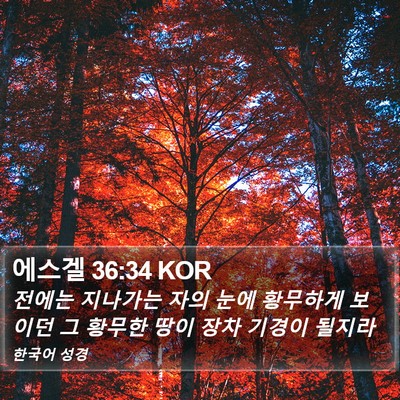 에스겔 36:34 KOR Bible Verse Image
