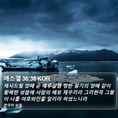 에스겔 36:38 KOR Bible Verse Image