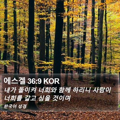 에스겔 36:9 KOR Bible Verse Image