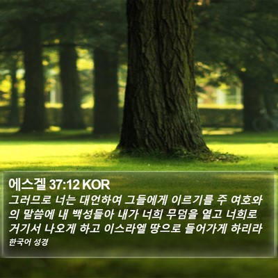 에스겔 37:12 KOR Bible Verse Image