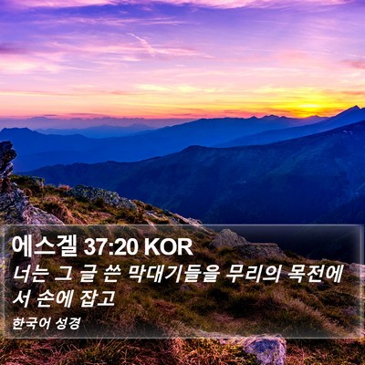 에스겔 37:20 KOR Bible Verse Image