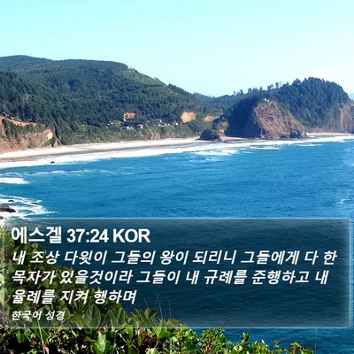 에스겔 37:24 KOR Bible Verse Image