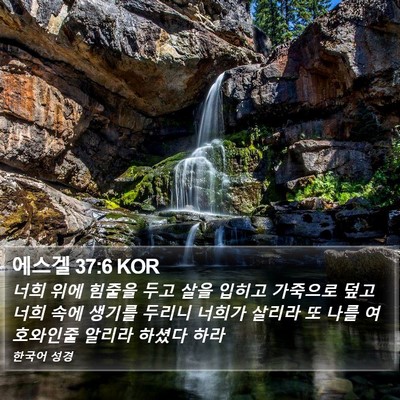 에스겔 37:6 KOR Bible Verse Image