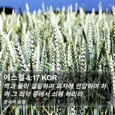 에스겔 4:17 KOR Bible Verse Image