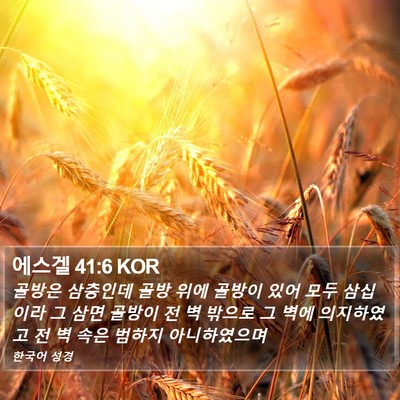 에스겔 41:6 KOR Bible Verse Image