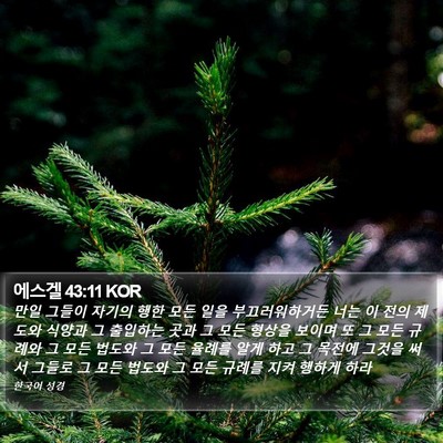 에스겔 43:11 KOR Bible Verse Image