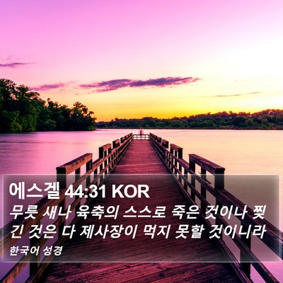 에스겔 44:31 KOR Bible Verse Image