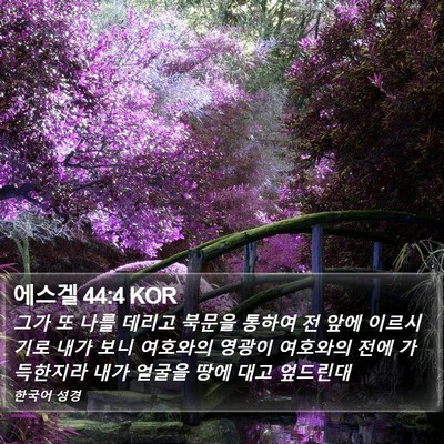 에스겔 44:4 KOR Bible Verse Image