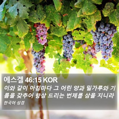 에스겔 46:15 KOR Bible Verse Image