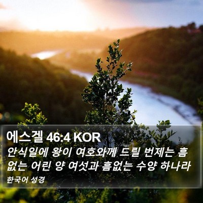 에스겔 46:4 KOR Bible Verse Image