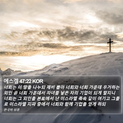 에스겔 47:22 KOR Bible Verse Image