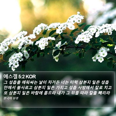 에스겔 5:2 KOR Bible Verse Image