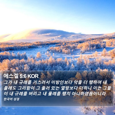 에스겔 5:6 KOR Bible Verse Image