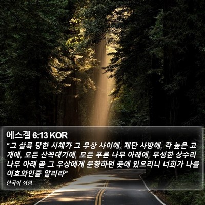 에스겔 6:13 KOR Bible Verse Image