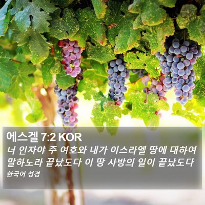 에스겔 7:2 KOR Bible Verse Image